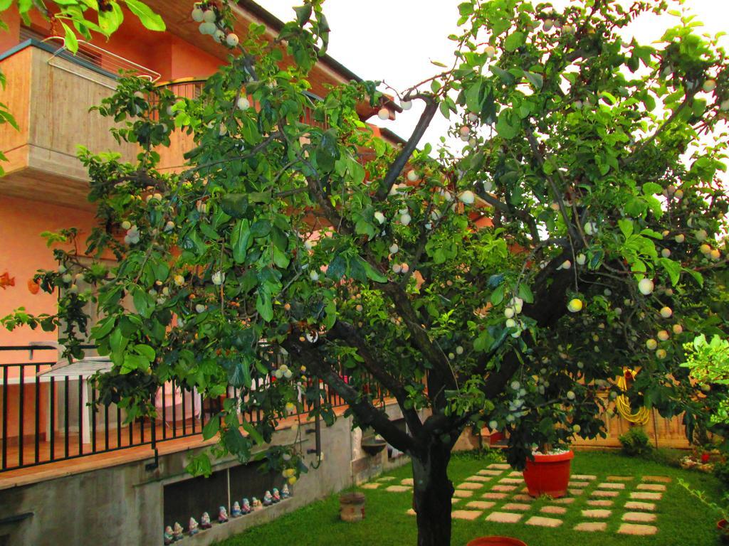 B&B Le Begonie Ascoli Piceno Ngoại thất bức ảnh