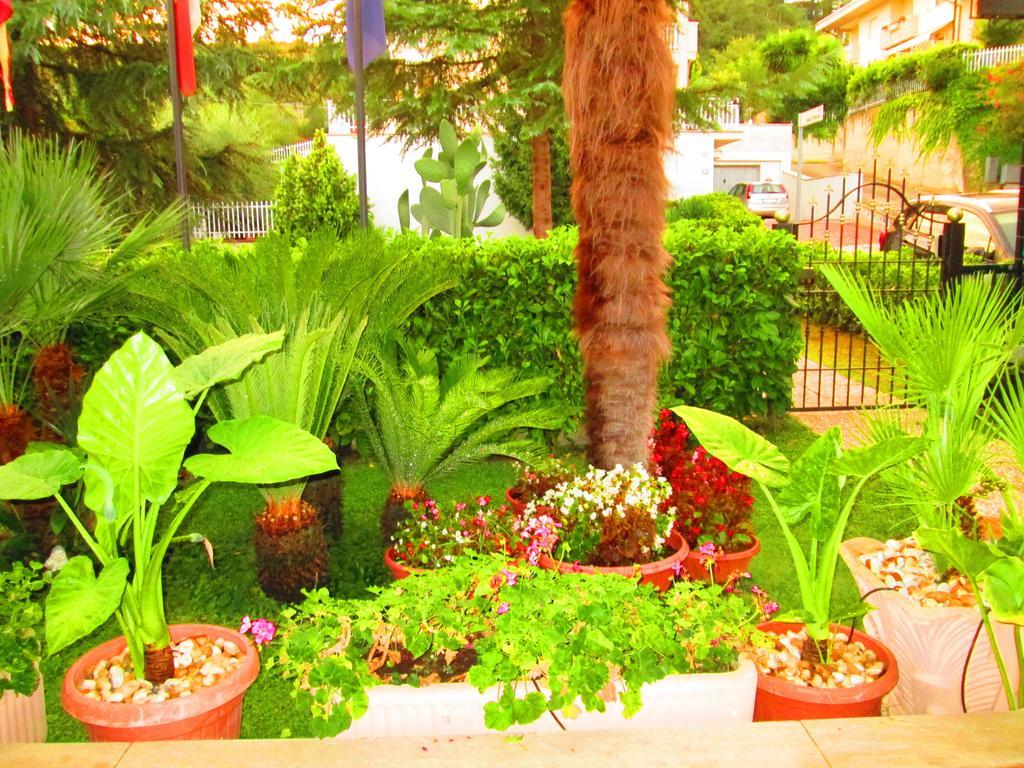 B&B Le Begonie Ascoli Piceno Phòng bức ảnh