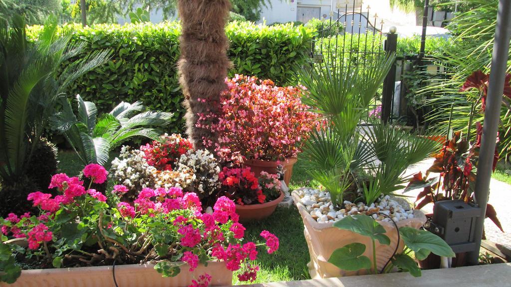 B&B Le Begonie Ascoli Piceno Ngoại thất bức ảnh